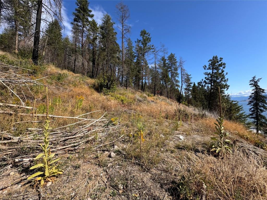 









9304


Hodges

Road,
Vernon,







BC
V1H 2C4

