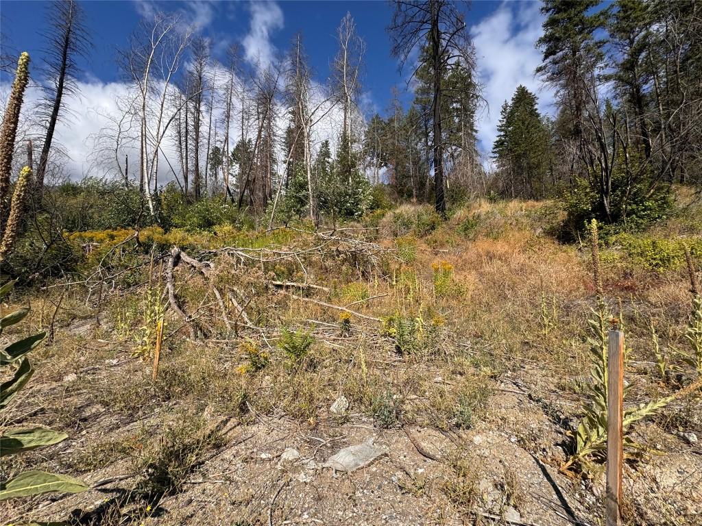 









9304


Hodges

Road,
Vernon,







BC
V1H 2C4


