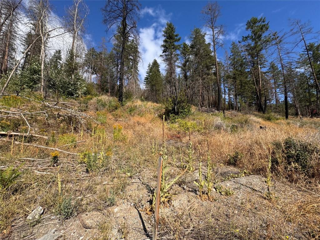 









9304


Hodges

Road,
Vernon,







BC
V1H 2C4

