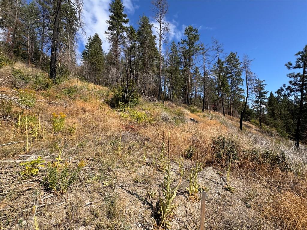 









9304


Hodges

Road,
Vernon,







BC
V1H 2C4

