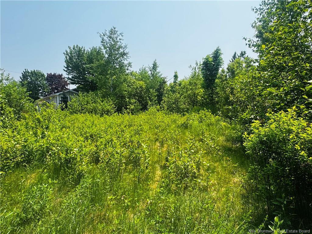 









Lot B 6


Goyette

,
Big River,







NB
E2A 6R4

