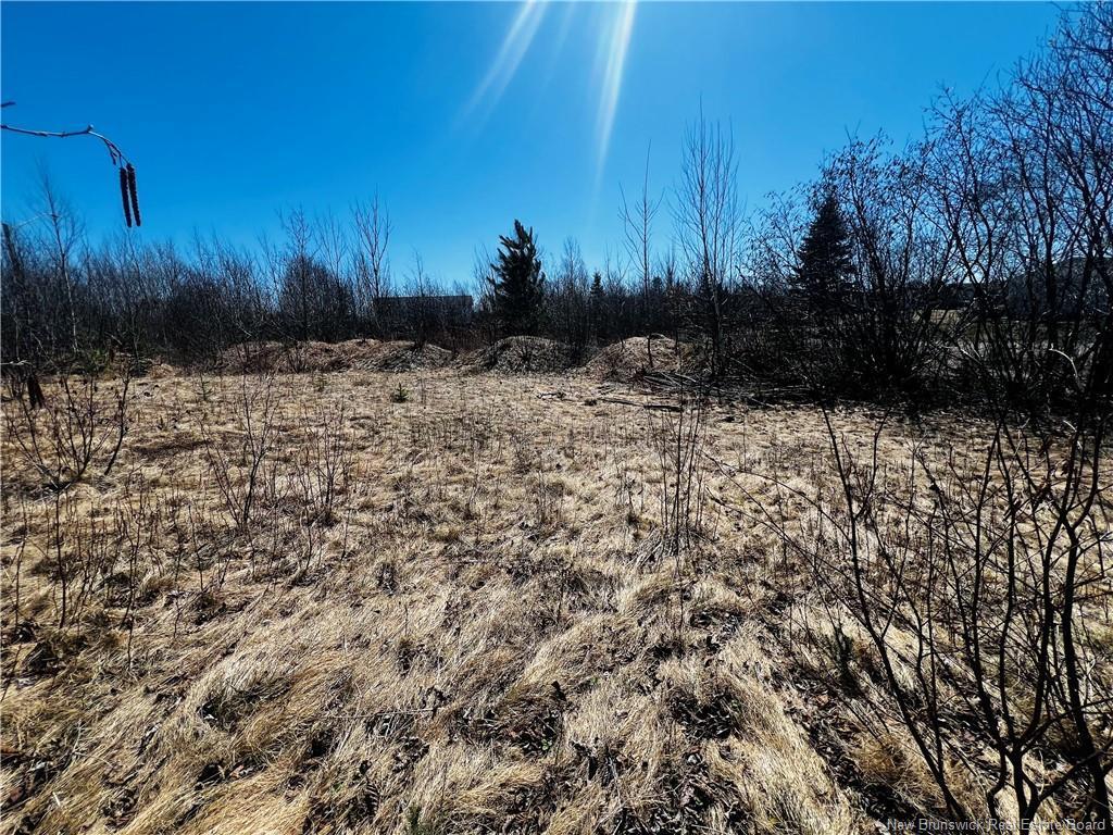 









Lot B 6


Goyette

,
Big River,







NB
E2A 6R4

