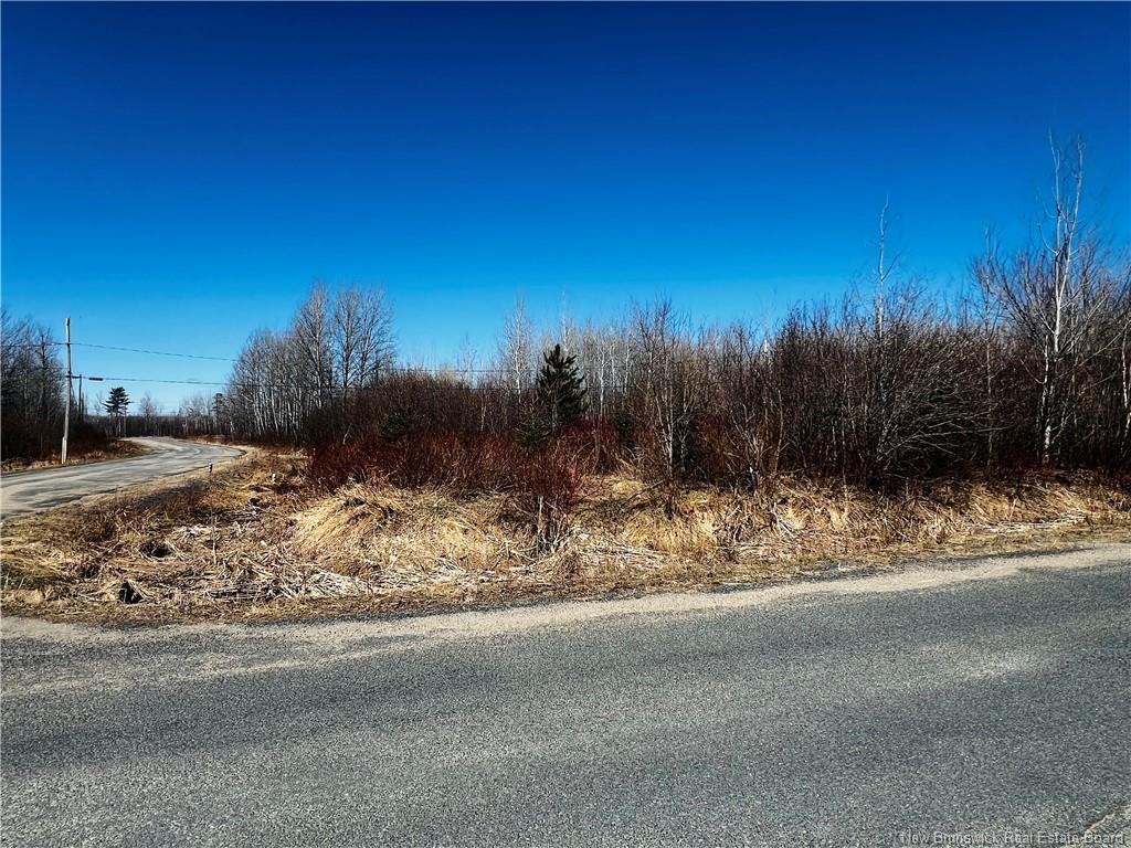 









Lot B 6


Goyette

,
Big River,







NB
E2A 6R4

