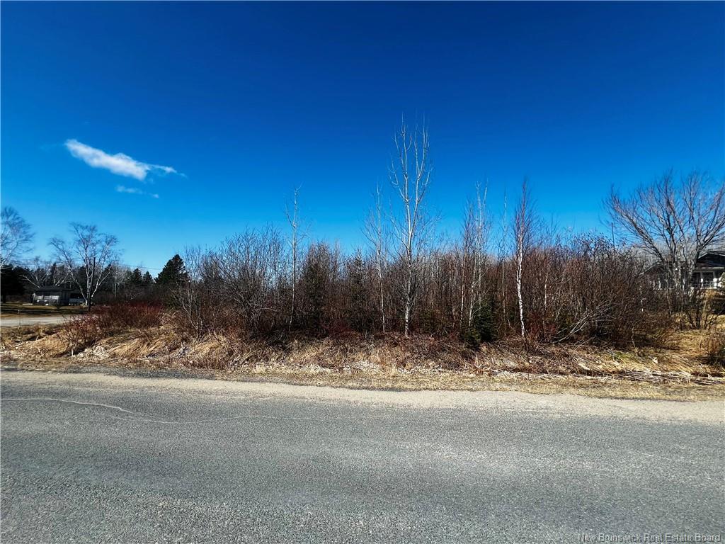 









Lot B 6


Goyette

,
Big River,







NB
E2A 6R4

