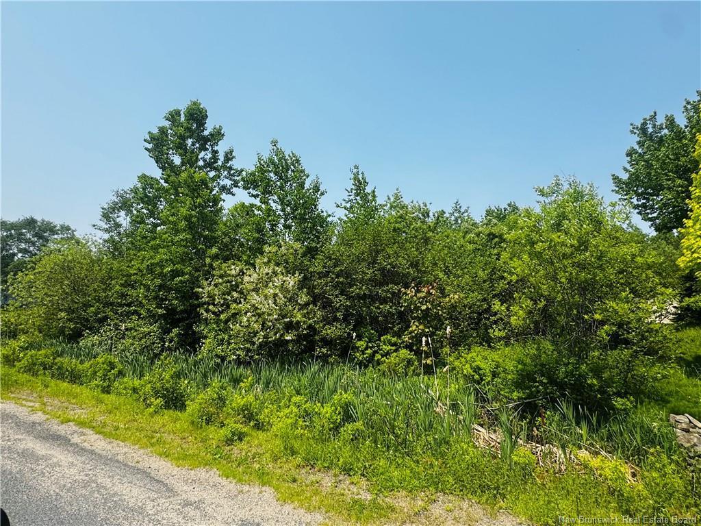 









Lot B 6


Goyette

,
Big River,







NB
E2A 6R4

