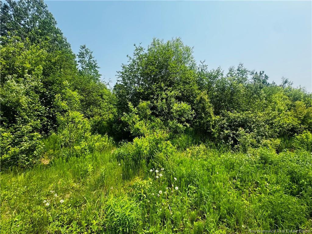 









Lot B 6


Goyette

,
Big River,







NB
E2A 6R4

