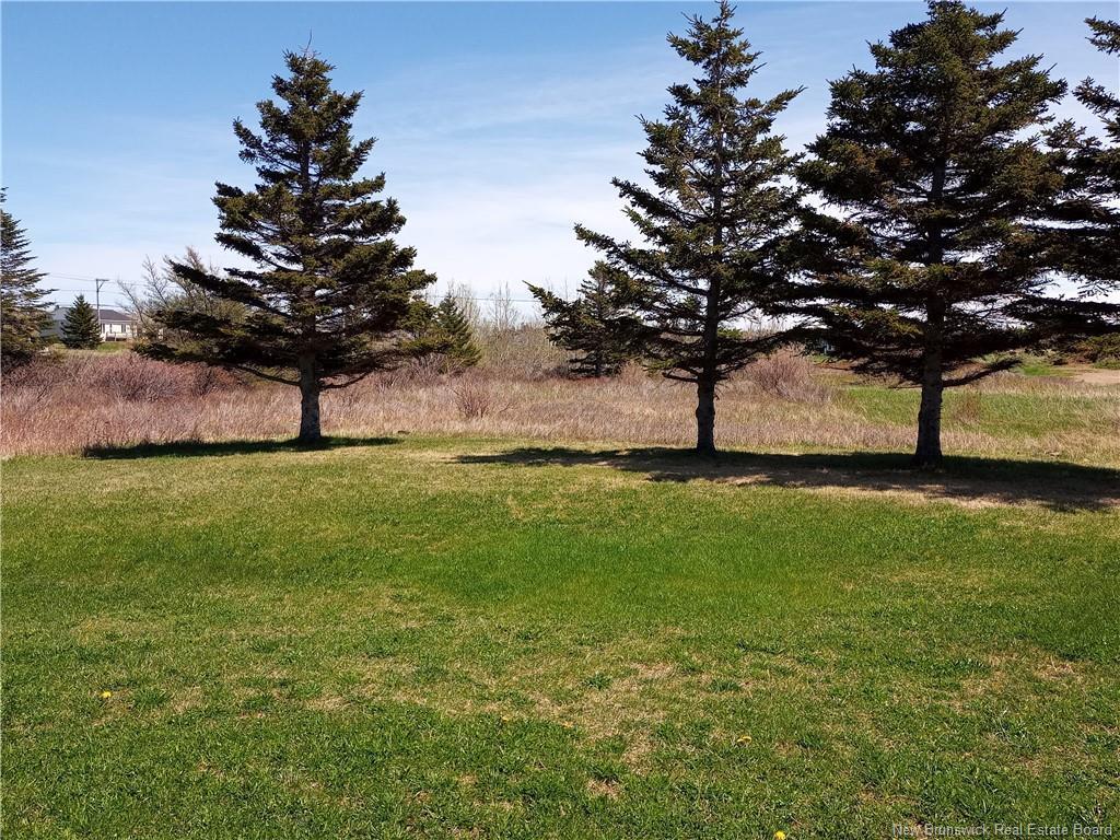 









15


Des Hirondelles

LANE,
Chiasson Office,




NB
E8S 2N4

