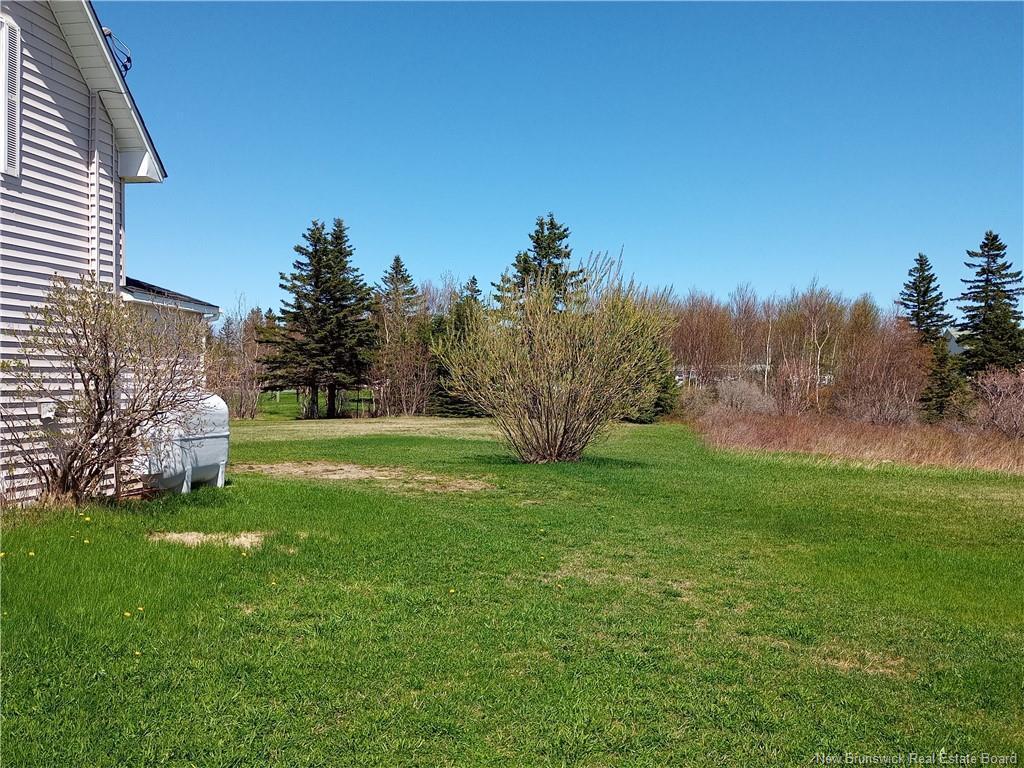 









15


Des Hirondelles

LANE,
Chiasson Office,




NB
E8S 2N4

