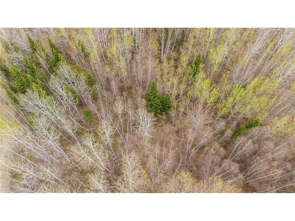 









Lot 23-1


Alden Warmen

RD,
Bass River,







NB
E4T 1A9

