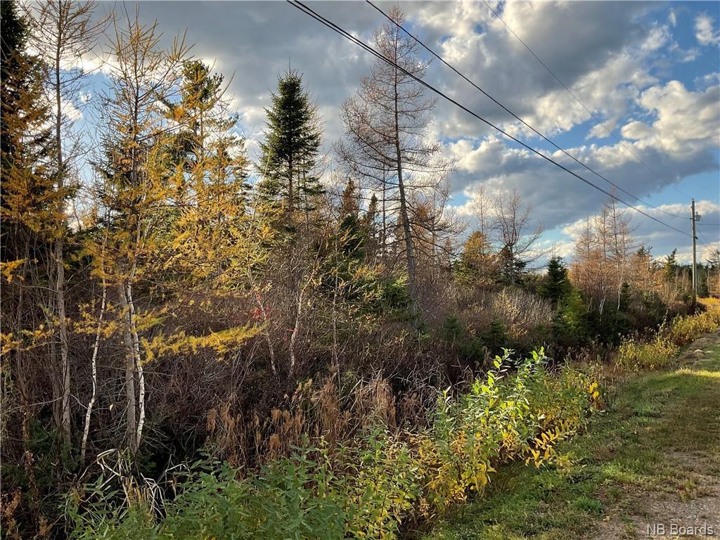 









Lot


des Prés

,
Tracadie,







NB
E1X 1C6

