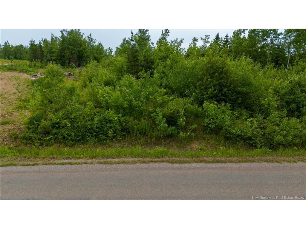 









LOT 24-2


Route 895

,
Anagance,







NB
E4Z 1E1

