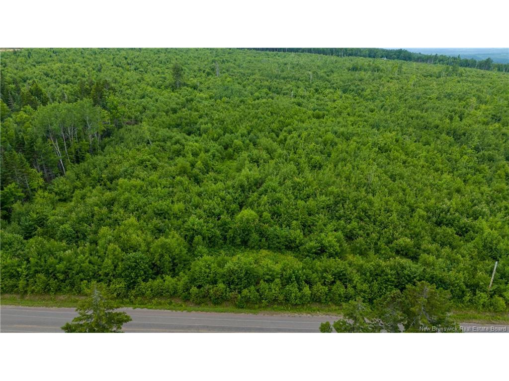 









LOT 24-2


Route 895

,
Anagance,







NB
E4Z 1E1

