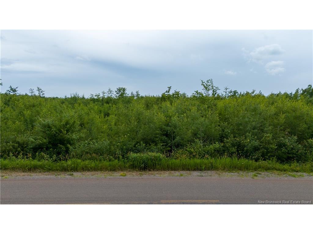 









LOT 24-3


Route 895

,
Anagance,







NB
E4Z 1E1

