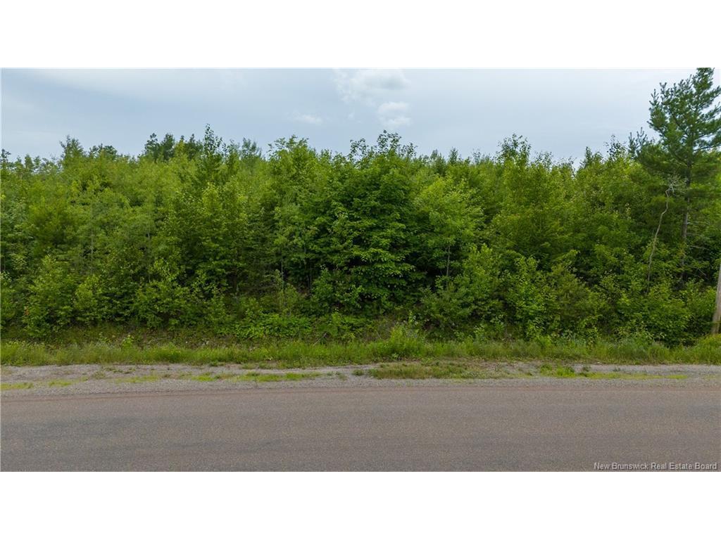 









LOT 24-4


Route 895

,
Anagance,







NB
E4Z 1E1

