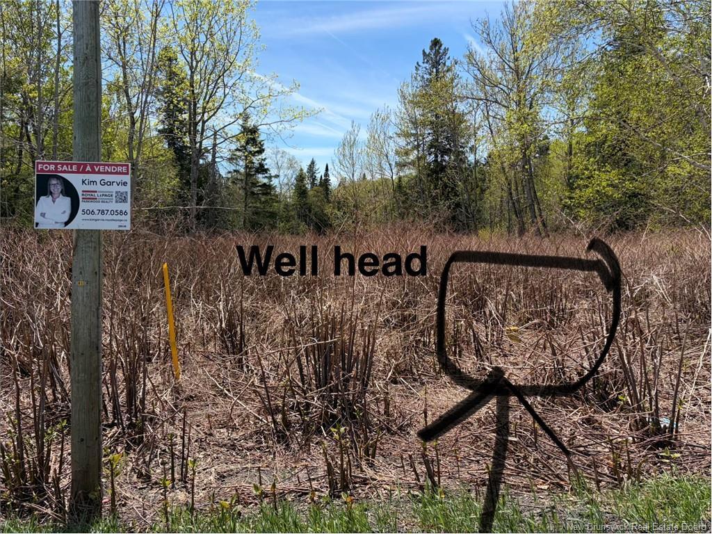 









LOT VACANT


ROUTE 134

,
New Mills,







NB
E8G 1E4

