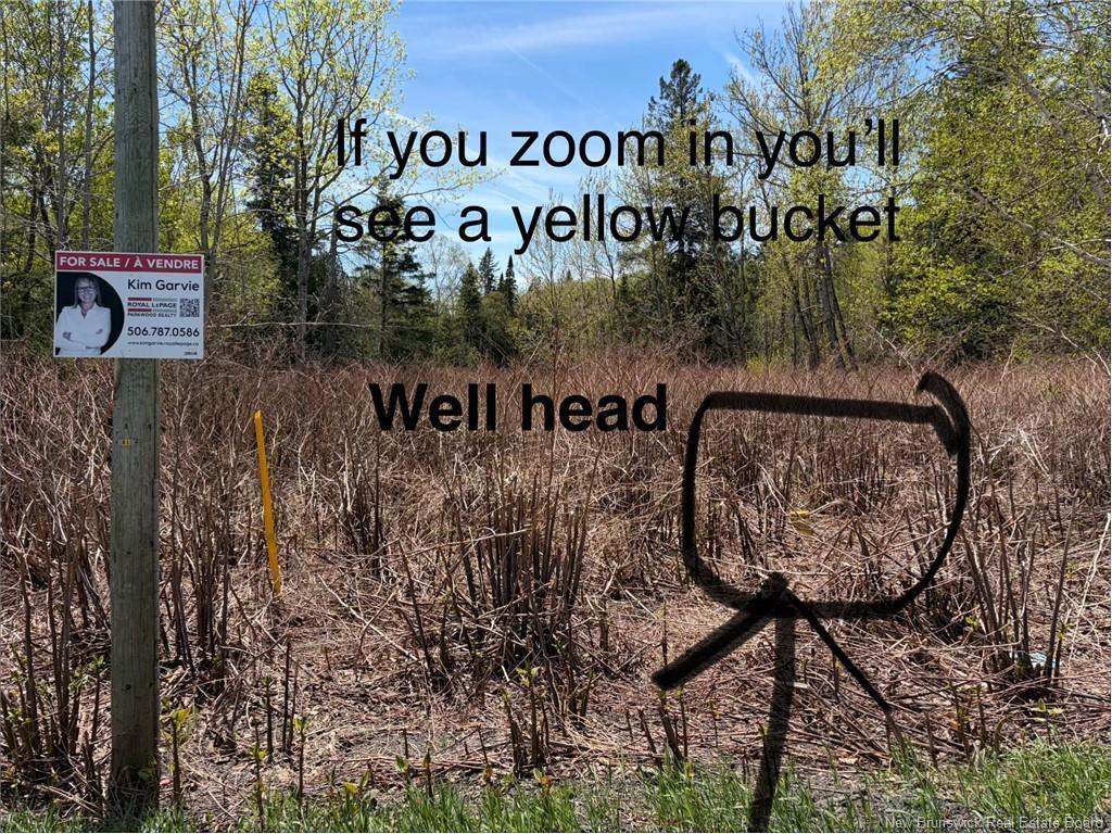 









LOT VACANT


ROUTE 134

,
New Mills,







NB
E8G 1E4

