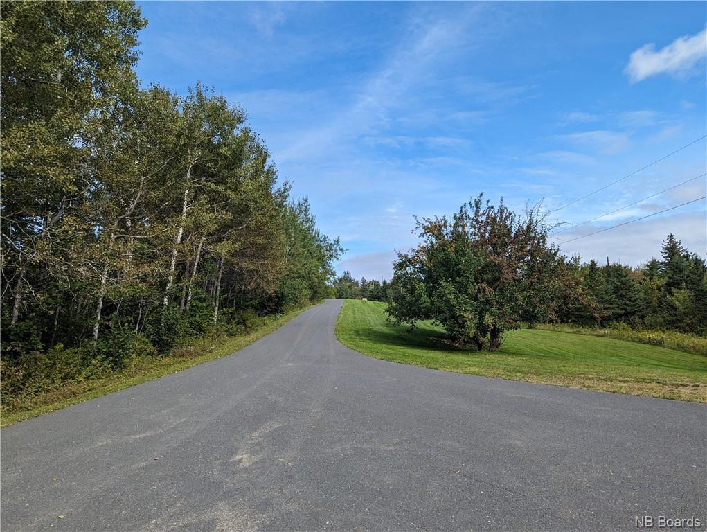









1050


Rivière à la truite

,
Rivière-À-La-Truite,




NB
E1X 2N1

