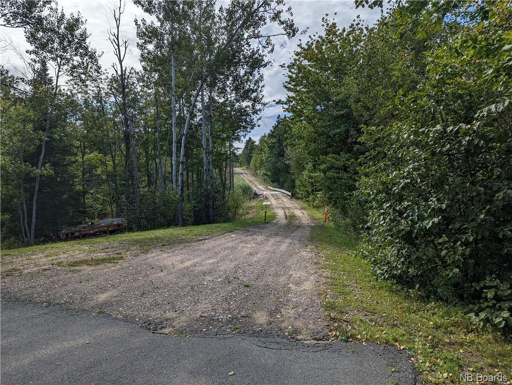 









1050


Rivière à la truite

,
Rivière-À-La-Truite,




NB
E1X 2N1

