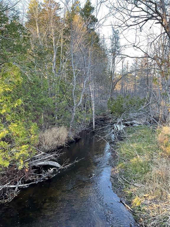 









1050


Rivière à la truite

,
Rivière-À-La-Truite,




NB
E1X 2N1

