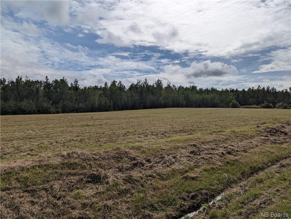 









1050


Rivière à la truite

,
Rivière-À-La-Truite,




NB
E1X 2N1

