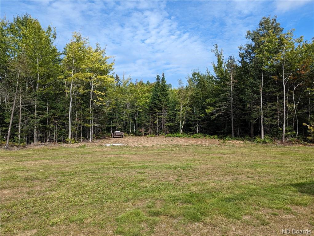 









1050


Rivière à la truite

,
Rivière-À-La-Truite,




NB
E1X 2N1

