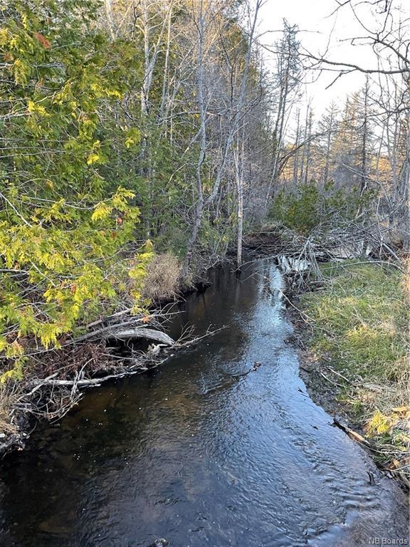 









1050


Rivière à la truite

,
Rivière-À-La-Truite,




NB
E1X 2N1

