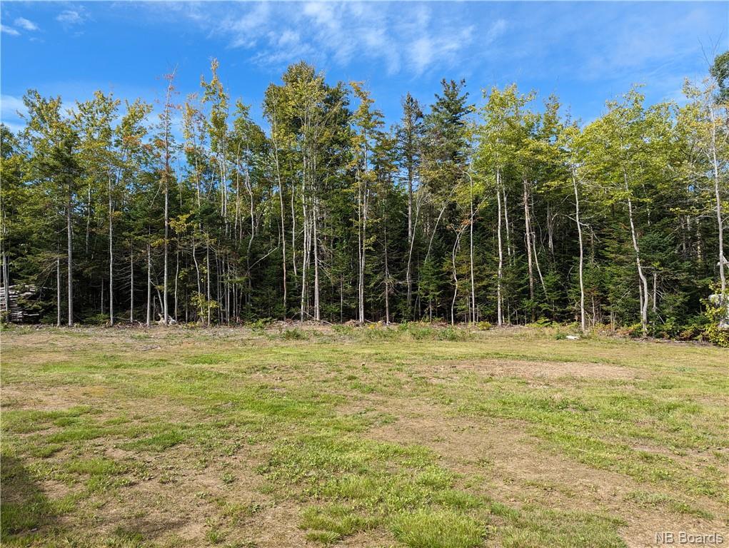 









1050


Rivière à la truite

,
Rivière-À-La-Truite,




NB
E1X 2N1

