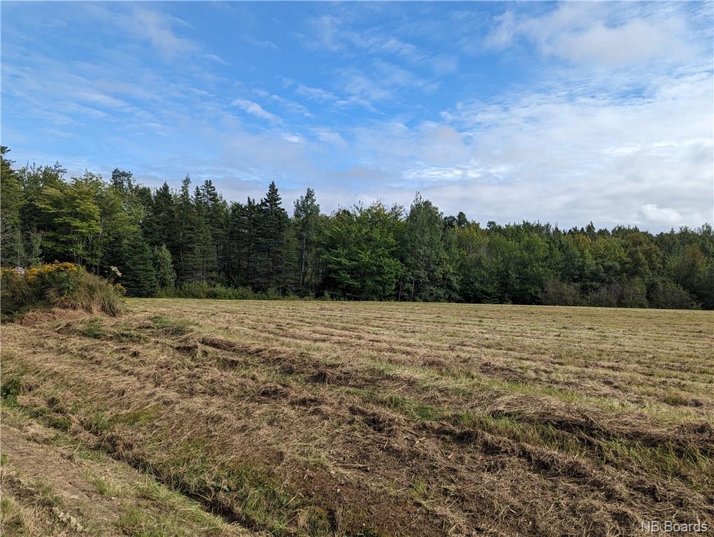 









1050


Rivière à la truite

,
Rivière-À-La-Truite,




NB
E1X 2N1

