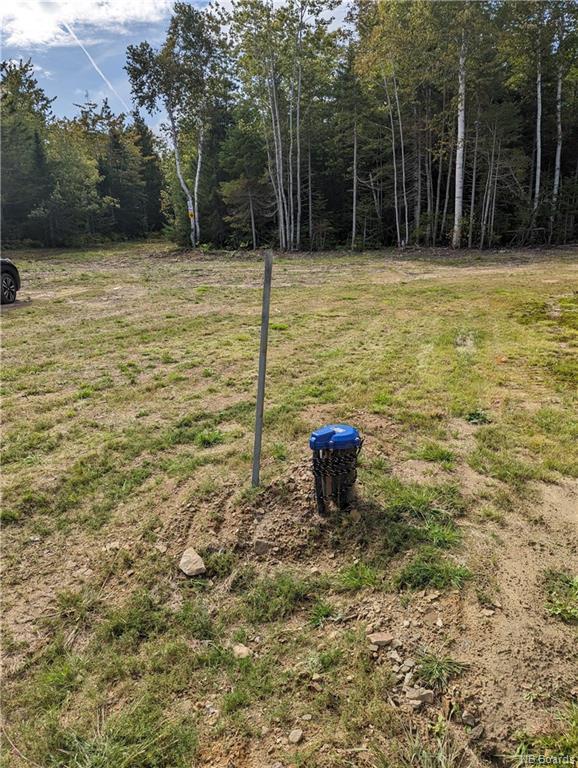 









1050


Rivière à la truite

,
Rivière-À-La-Truite,




NB
E1X 2N1

