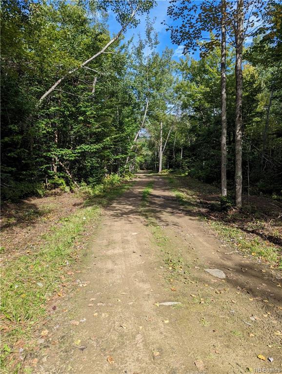 









1050


Rivière à la truite

,
Rivière-À-La-Truite,




NB
E1X 2N1


