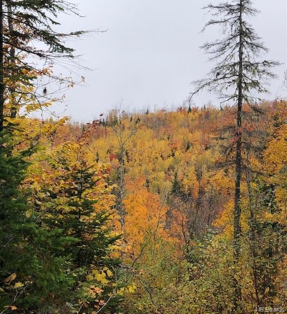 









Land


Saint Maure

,
Saint-Maure,







NB
E8E 1M6

