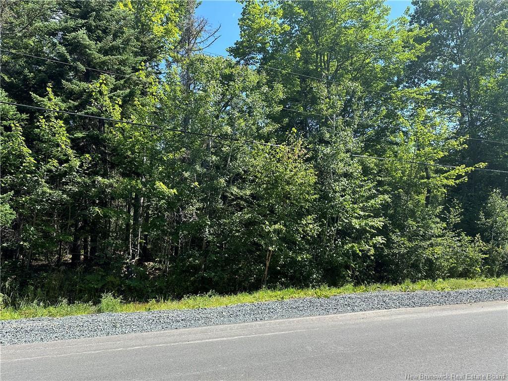









-


Boul Des Acadiens

,
Bertrand,







NB
E1W 1K7

