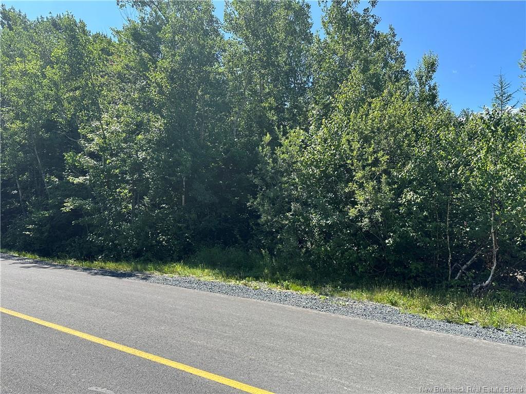 









-


St. Mary

AVE,
Bathurst,







NB
E2A 6J3

