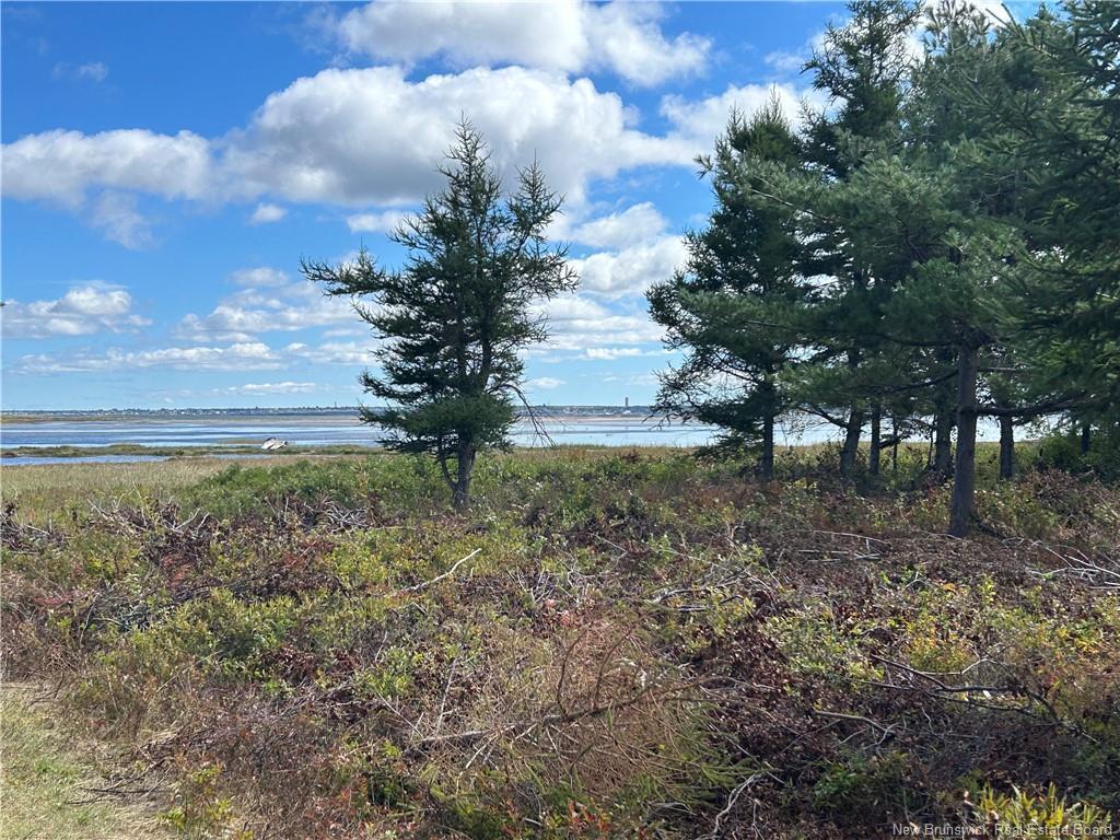 









Lot


Olivier

RD,
Maisonnette,







NB
E8N 2A2

