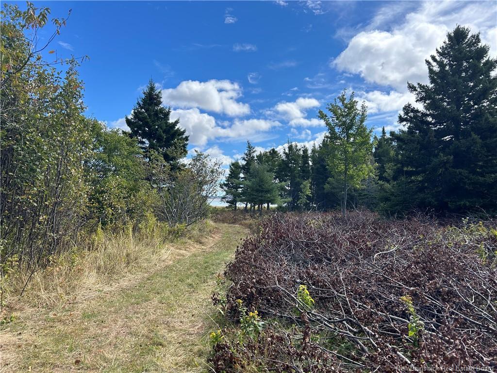 









Lot


Olivier

RD,
Maisonnette,







NB
E8N 2A2

