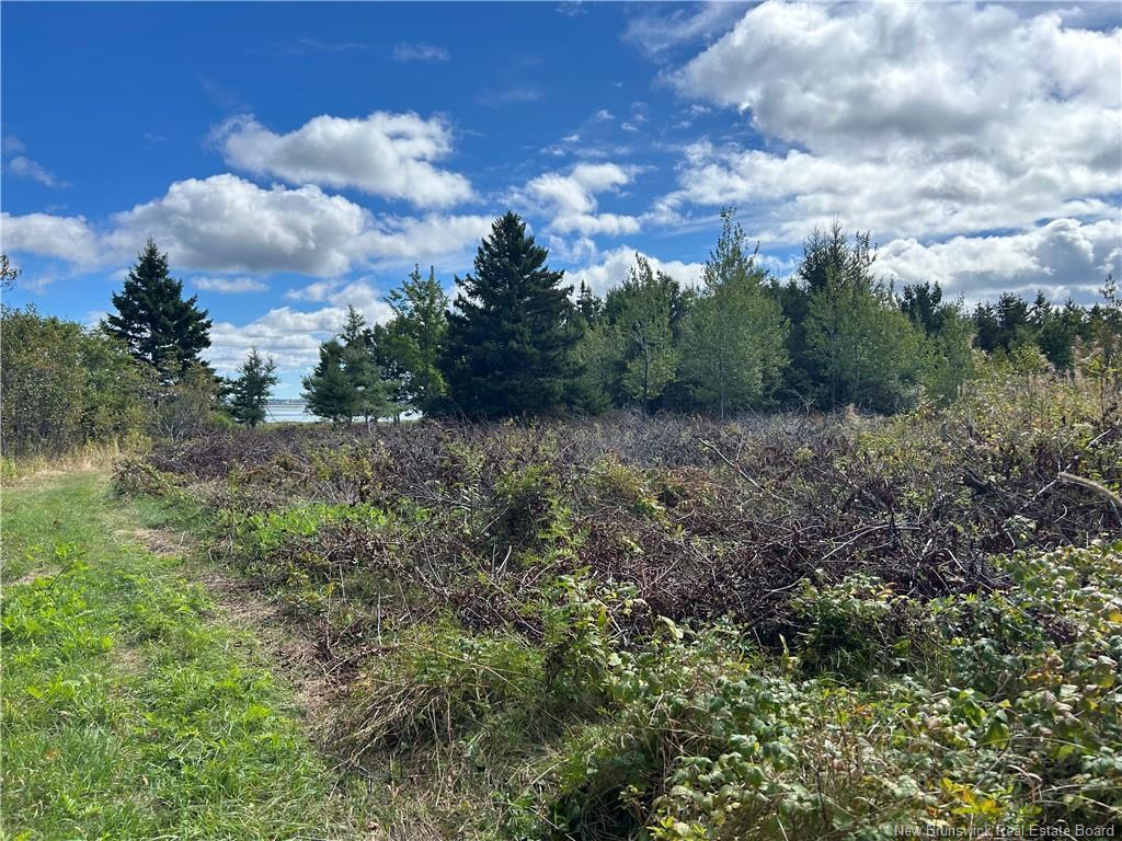 









Lot


Olivier

RD,
Maisonnette,







NB
E8N 2A2

