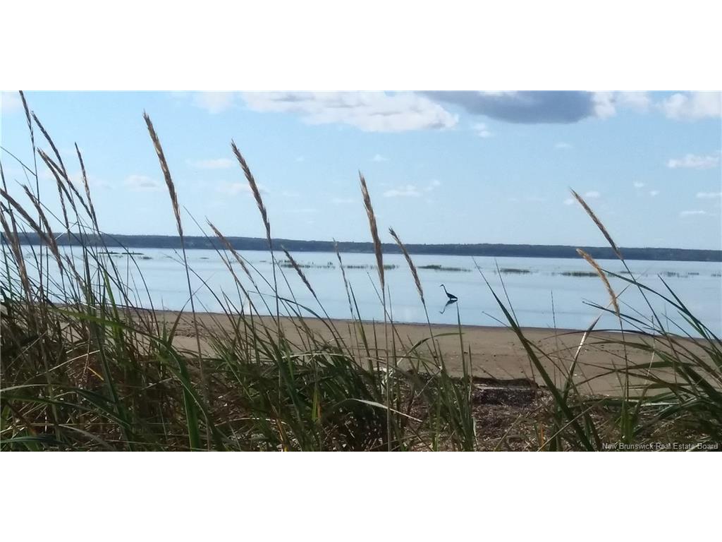 









Lot


Olivier

RD,
Maisonnette,







NB
E8N 2A2

