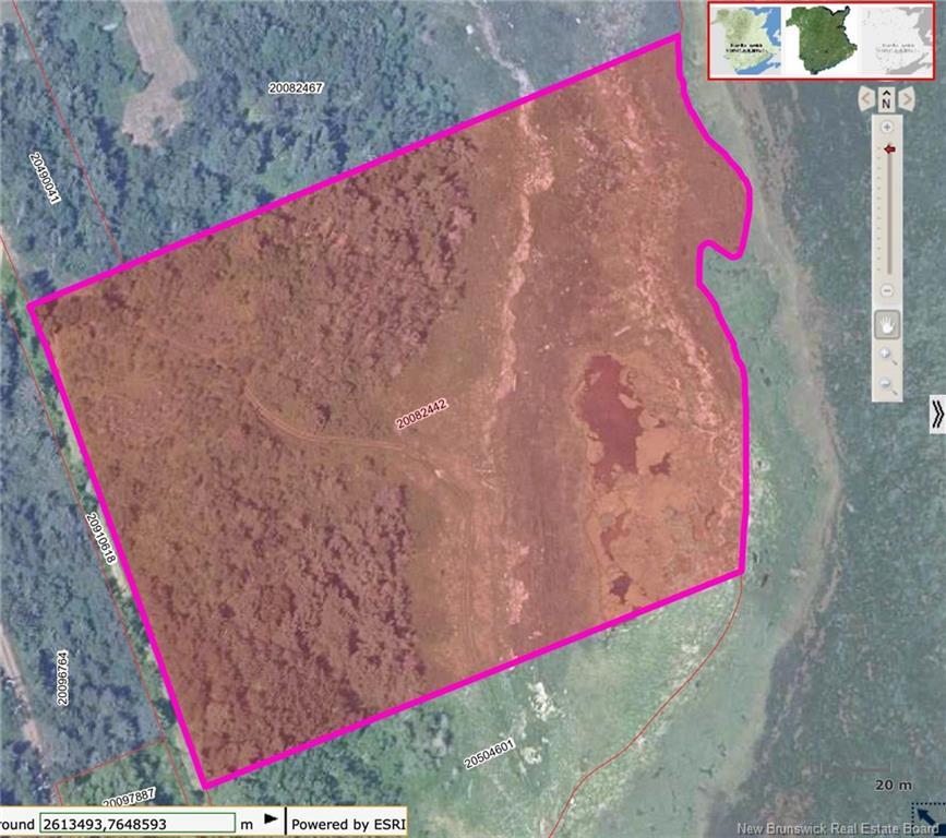 









Lot


Olivier

RD,
Maisonnette,







NB
E8N 2A2

