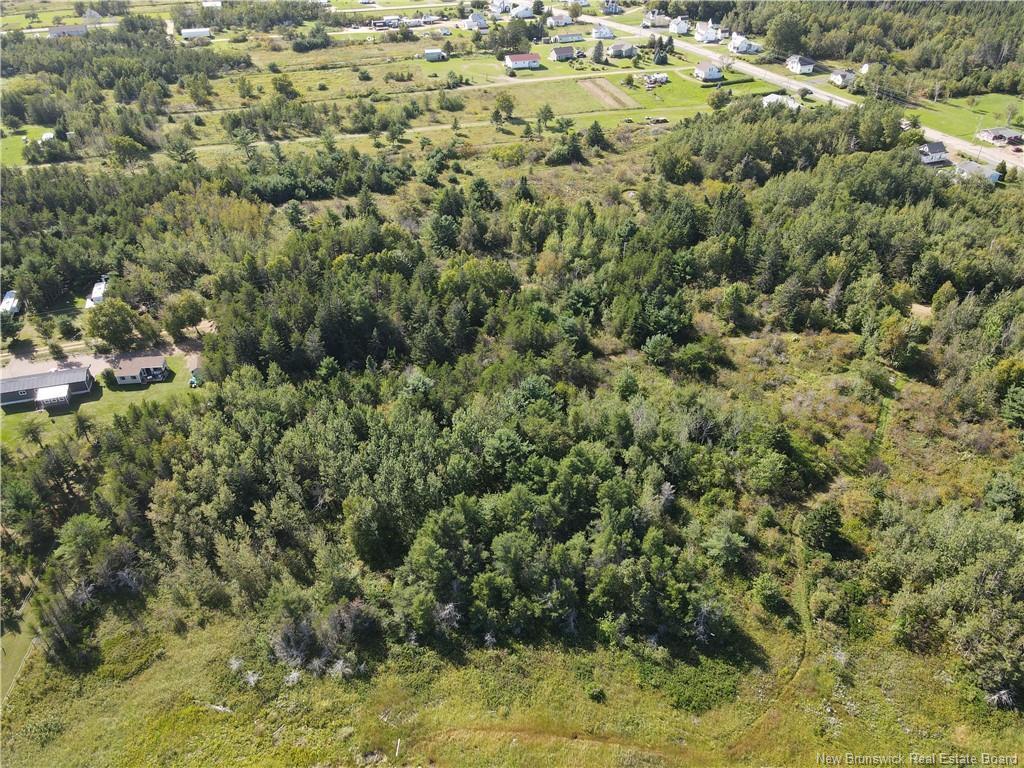 









Lot


Olivier

RD,
Maisonnette,







NB
E8N 2A2

