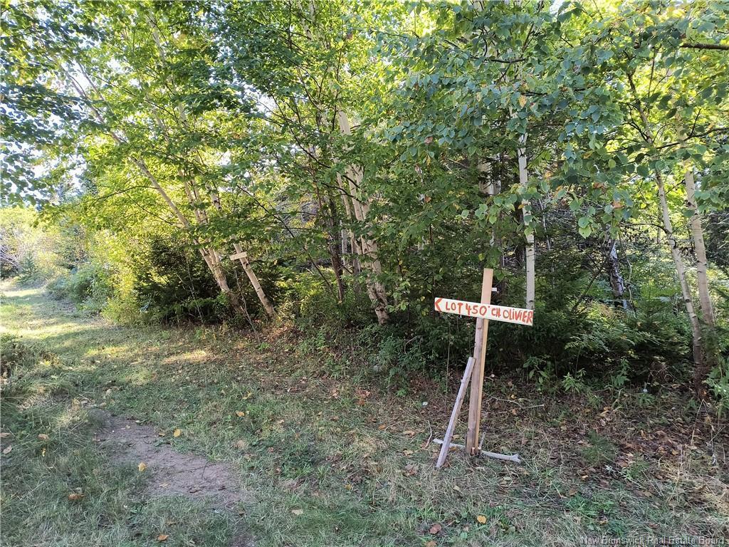 









Lot


Olivier

RD,
Maisonnette,







NB
E8N 2A2

