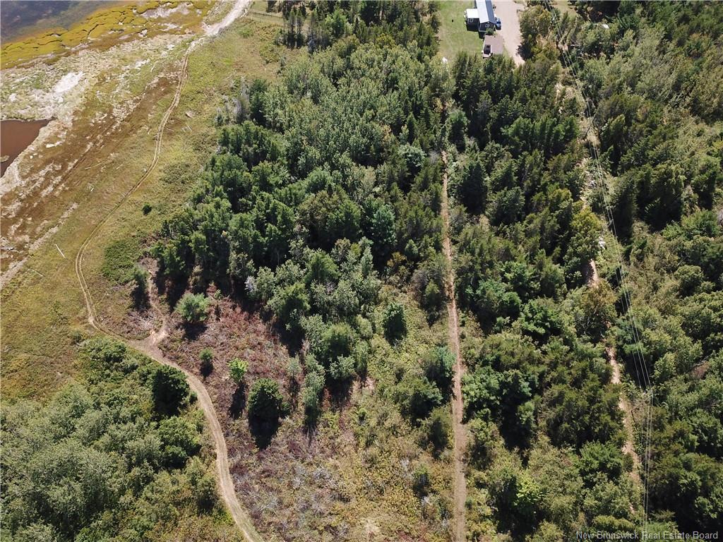 









Lot


Olivier

RD,
Maisonnette,







NB
E8N 2A2


