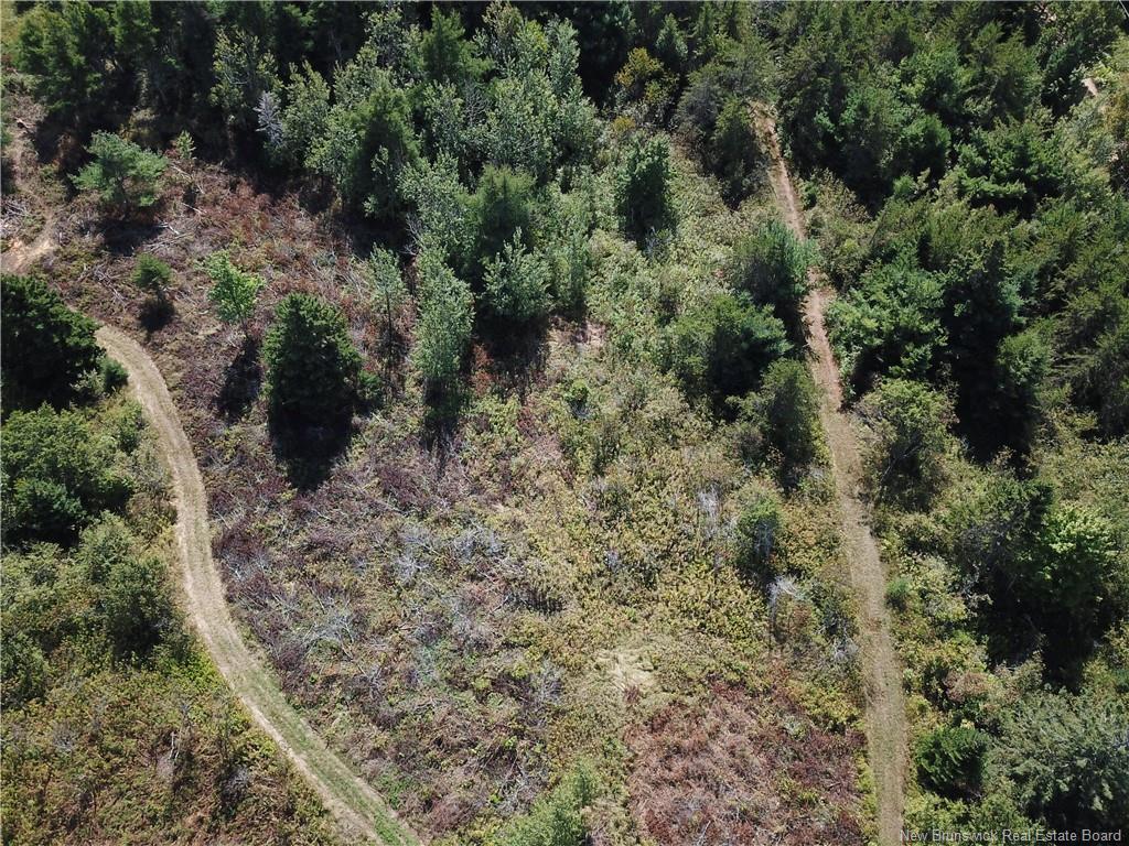 









Lot


Olivier

RD,
Maisonnette,







NB
E8N 2A2

