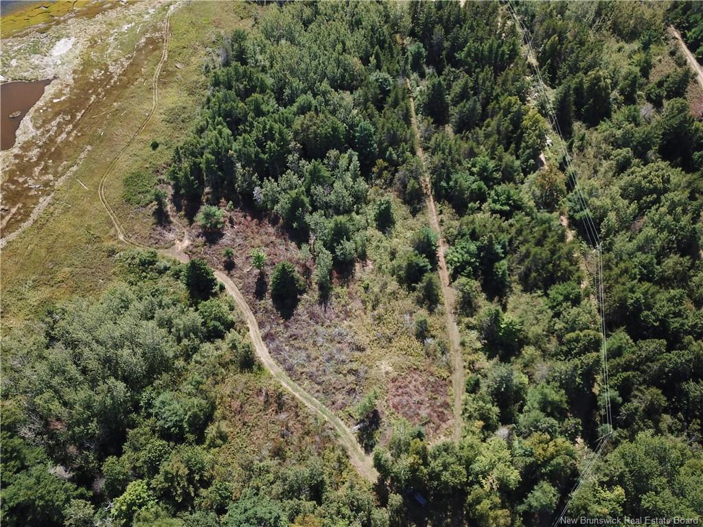 









Lot


Olivier

RD,
Maisonnette,







NB
E8N 2A2

