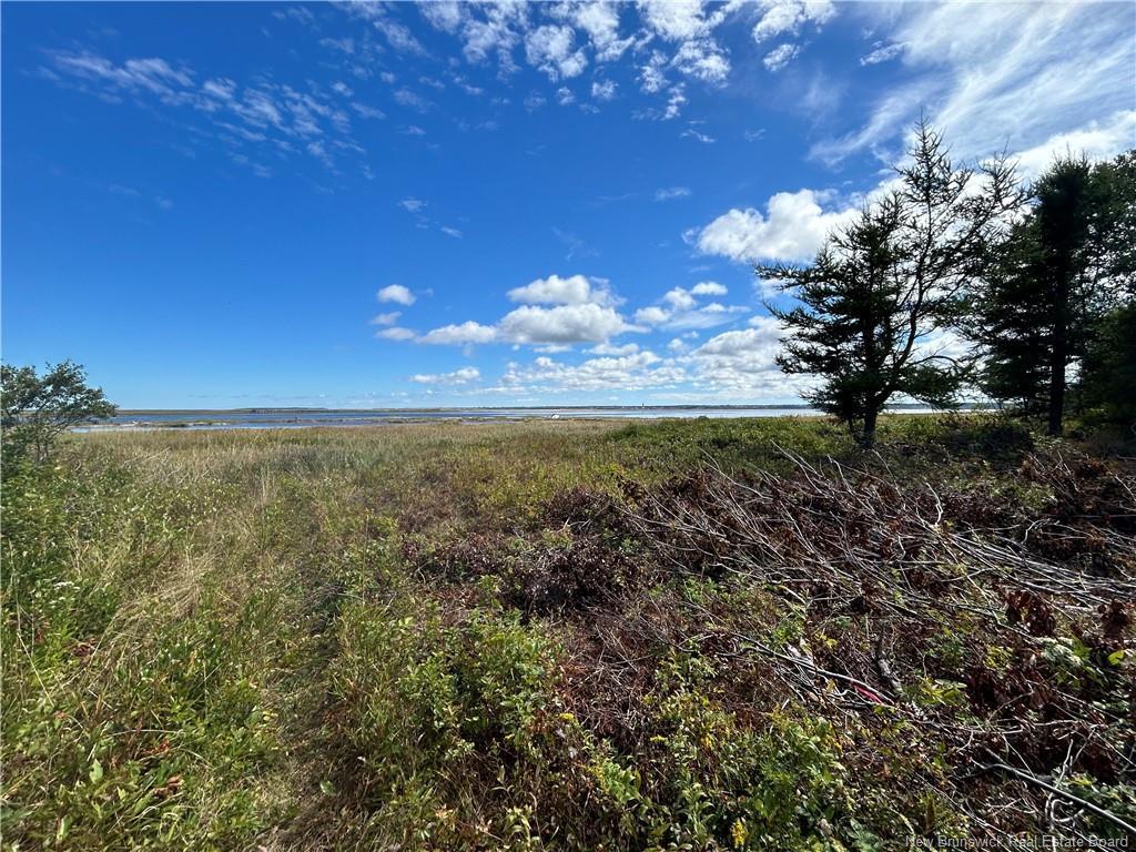 









Lot


Olivier

RD,
Maisonnette,







NB
E8N 2A2


