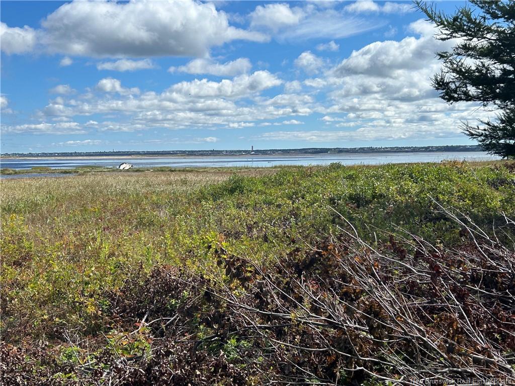 









Lot


Olivier

RD,
Maisonnette,







NB
E8N 2A2

