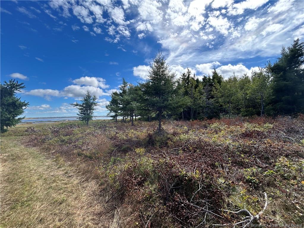 









Lot


Olivier

RD,
Maisonnette,







NB
E8N 2A2

