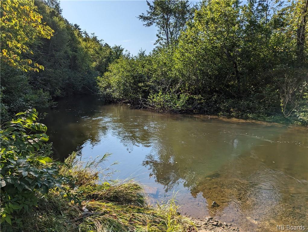 









lot 1


Rte 355

,
Rang-Saint-Georges,







NB
E8R 2B6

