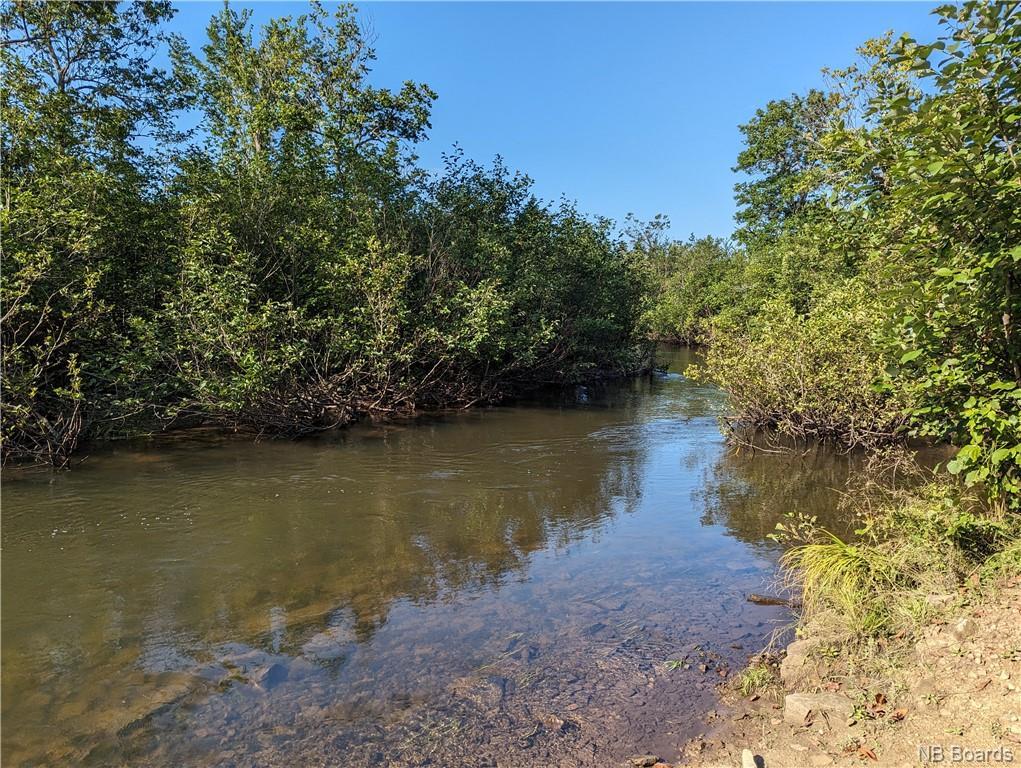 









lot 1


Rte 355

,
Rang-Saint-Georges,







NB
E8R 2B6

