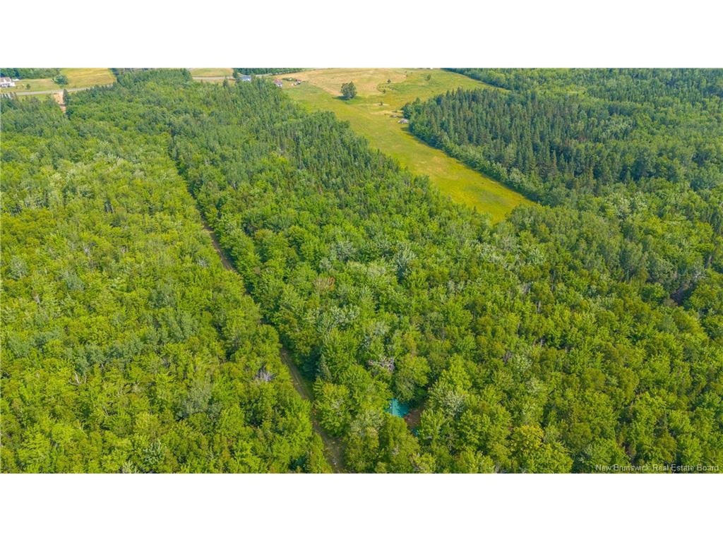 









Lot


Paquetville

RD,
Paquetville,







NB
E8R 1E6

