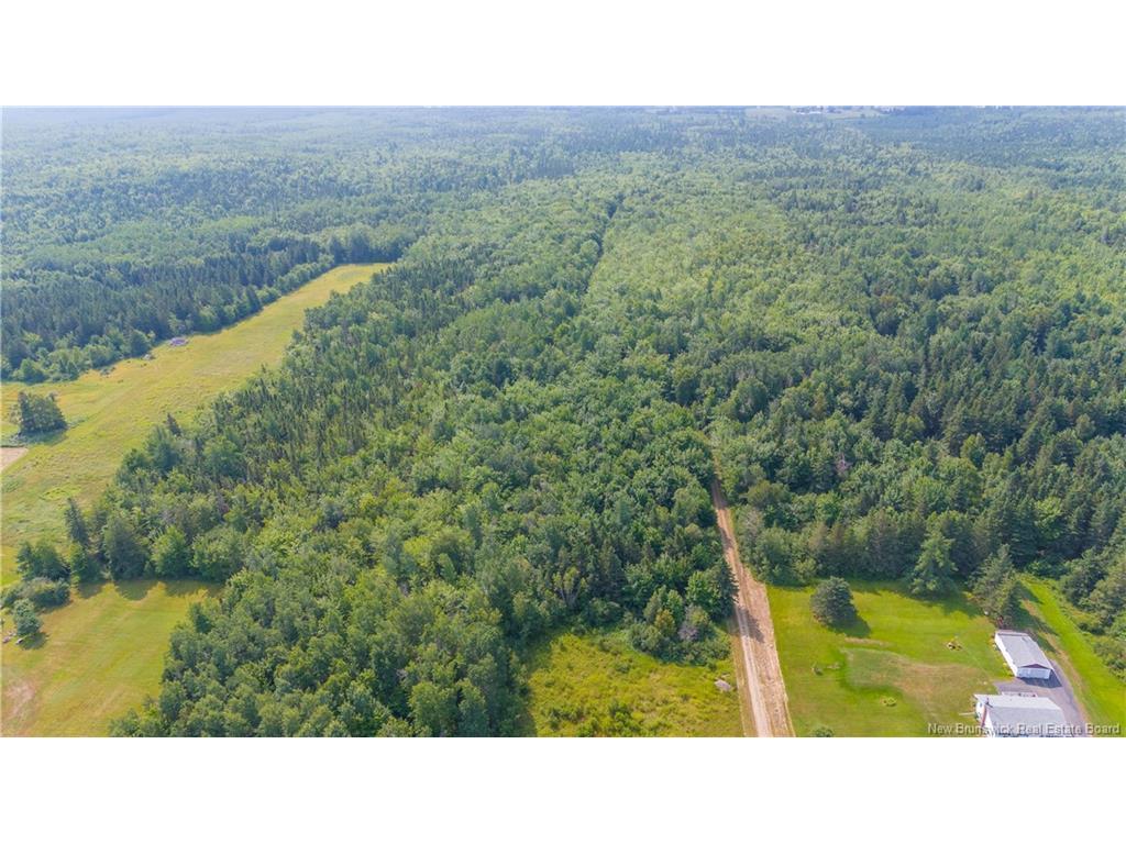 









Lot


Paquetville

RD,
Paquetville,







NB
E8R 1E6

